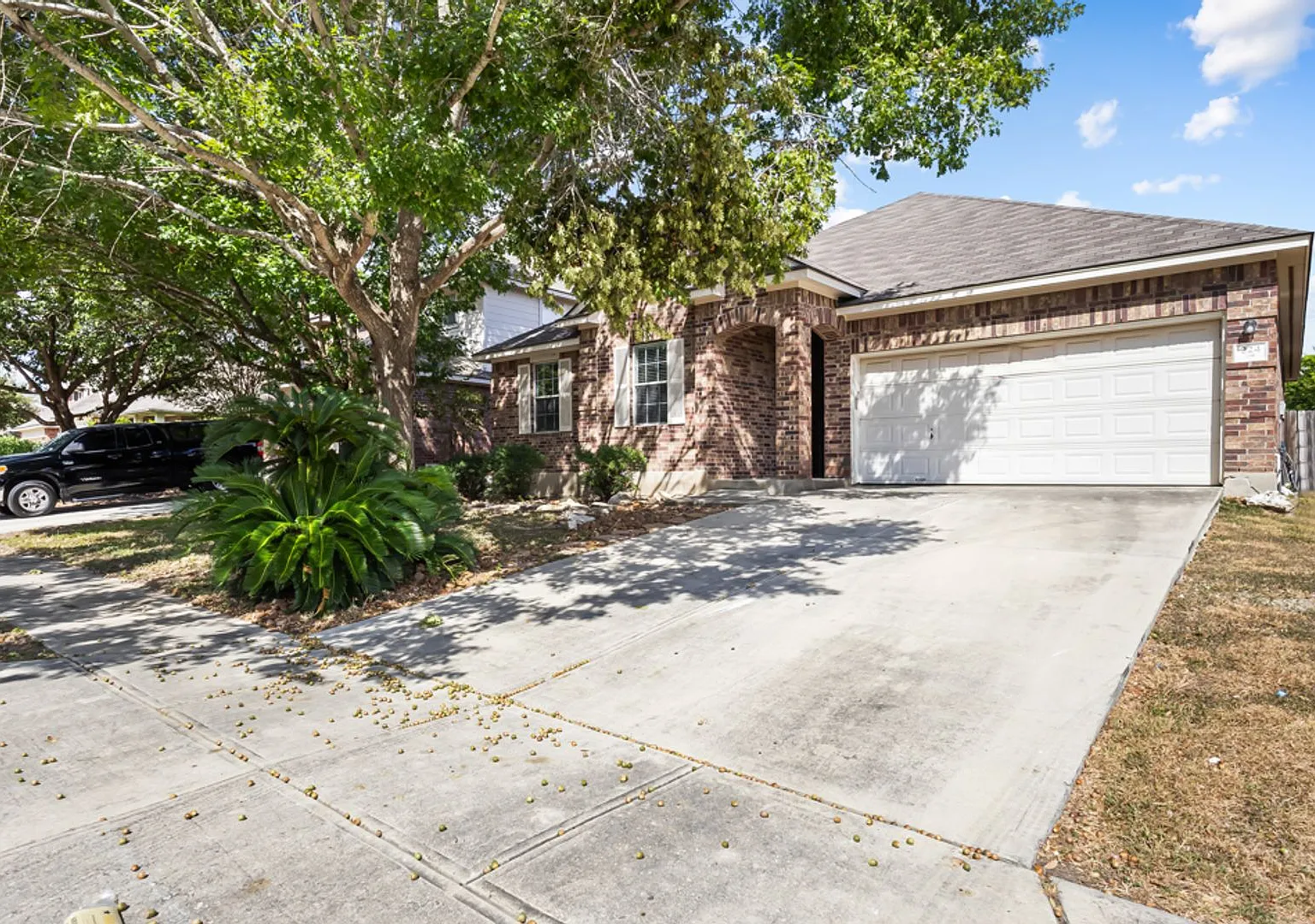 Beautiful 4-Bedroom Home Near Randolph AFB — Photo 2