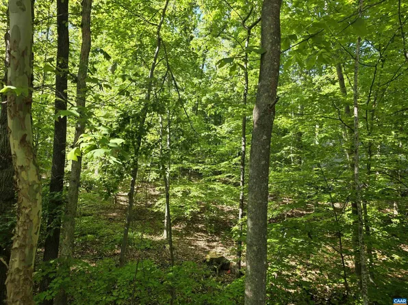717 Jefferson Dr E, Palmyra, VA 22963