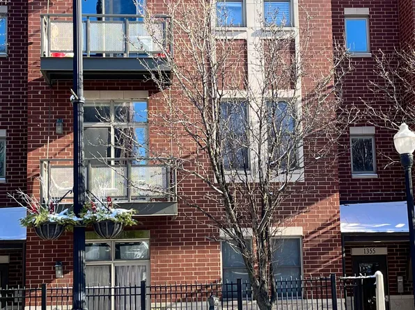 1355 S Halsted St Unit 204, Chicago, IL 60607