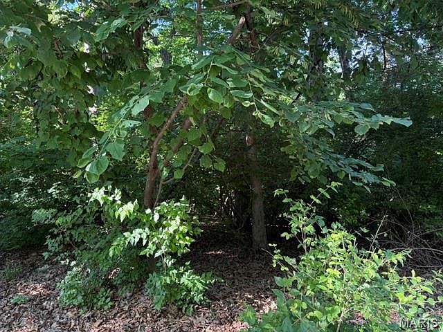 1st image of 691 Castlecliff Rd