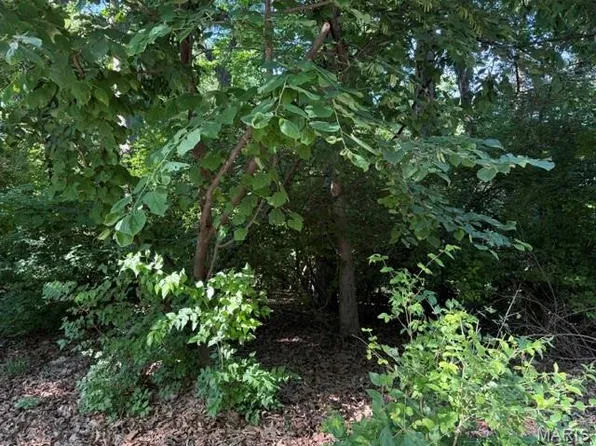 691 Castlecliff Rd, Ballwin, MO 63021