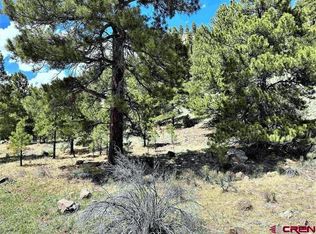 TBD State Hwy 149, South Fork, CO 81154