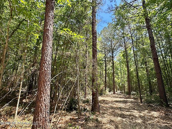 4th image of 1 McNair Springs Rd