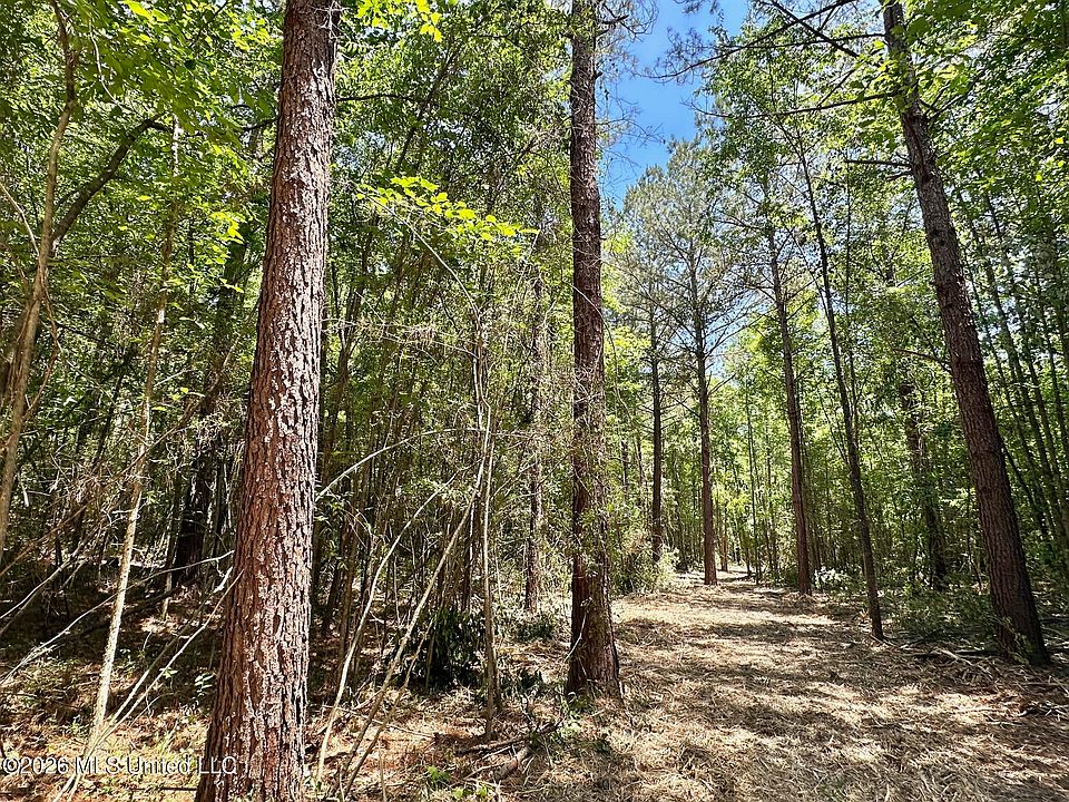 1st image of 0 McNair Springs Rd
