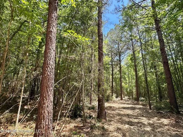 0 McNair Springs Rd, Magee, MS 39111