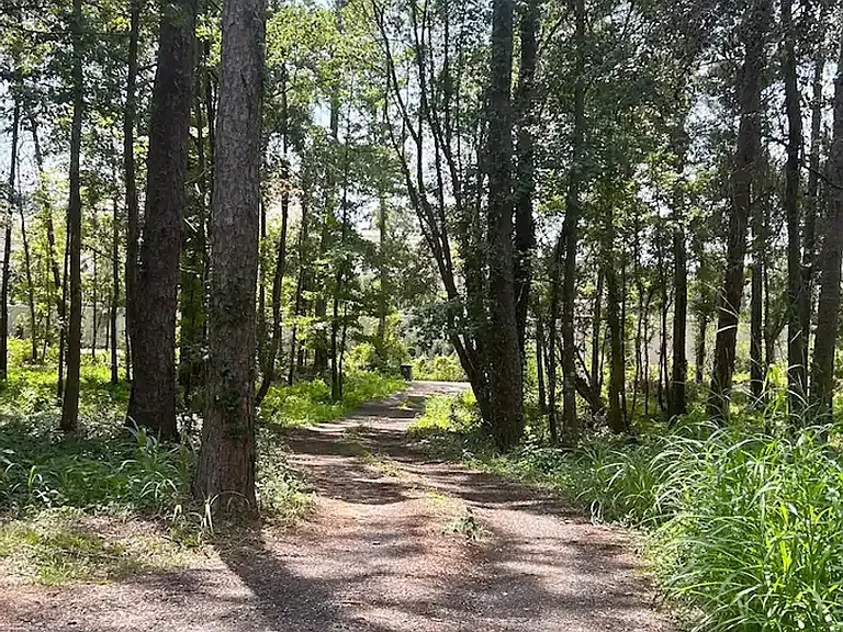 2402 Radford Farm Rd — Photo 12