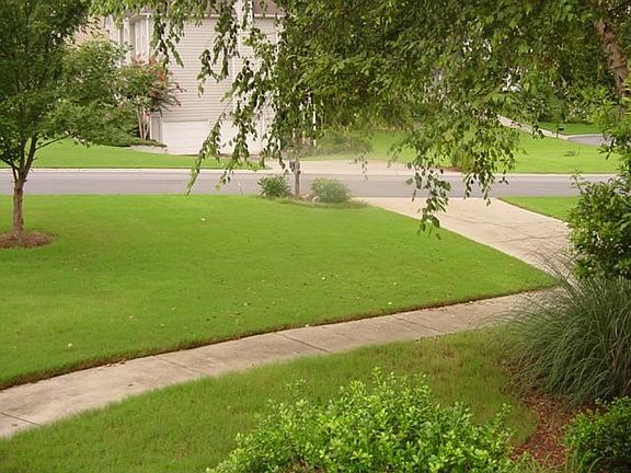 yard in the spring time 2