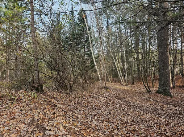 N8910 Skudris Rd, Tomahawk, WI 54487