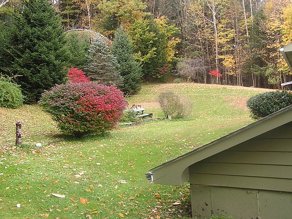 Ample hedges and fruit trees