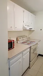 1 bed, 1.0 bath, $2,500 — Photo 4