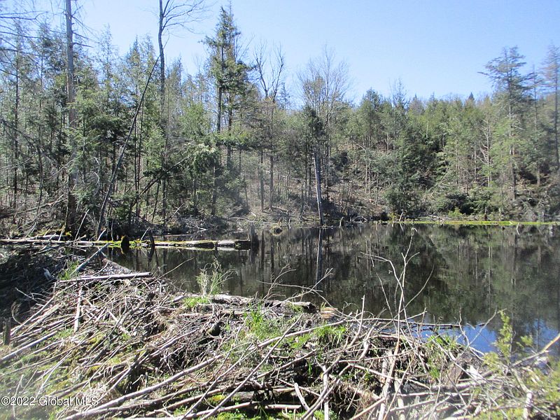 5th image of 0 River Road Road