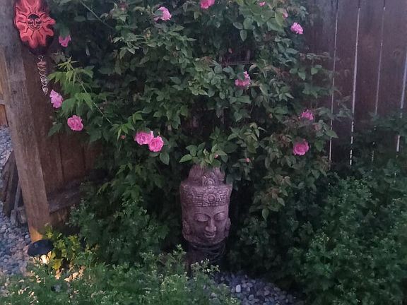 3rd image of (Undisclosed Address)