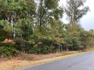 0 Spamm Rd, Greeleyville, SC 29056