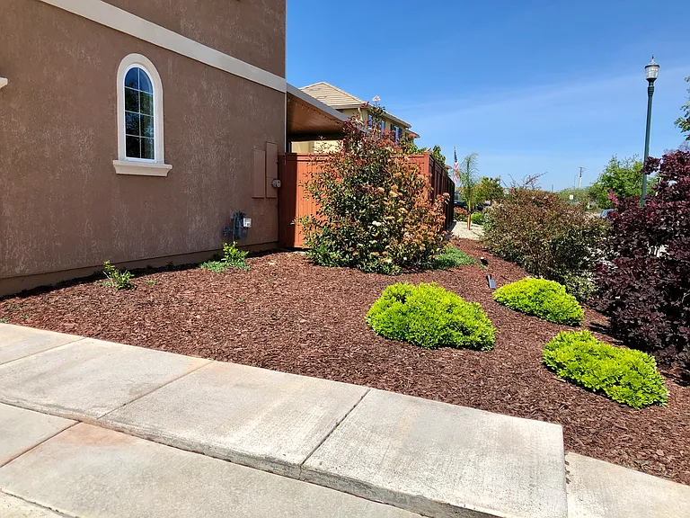 2554 Walker Dr — Photo 32