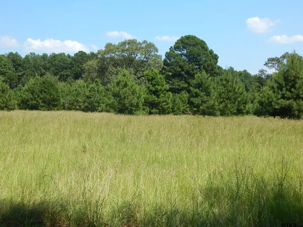 LOT 14 Law Rd, Harleton, TX 75651