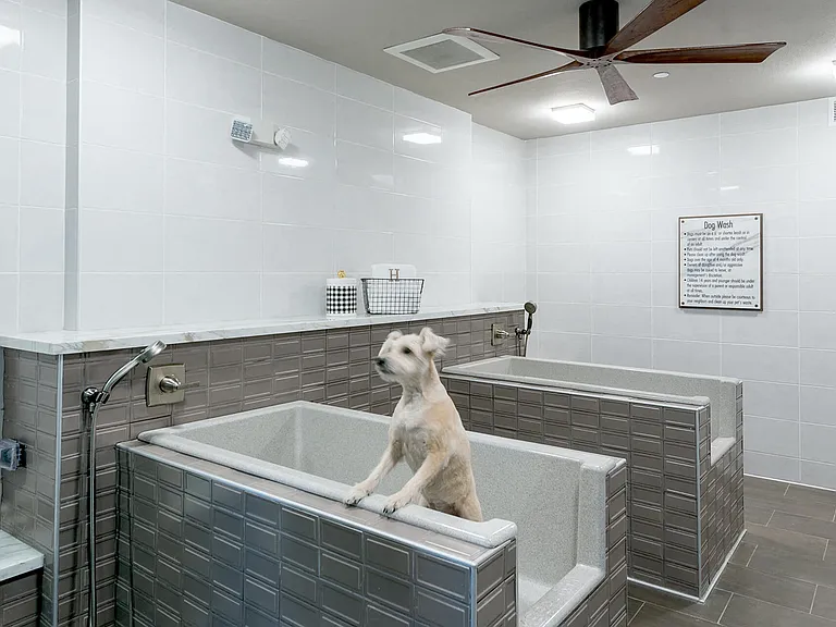 Your pet's bath time just became stress-free at our pet washing station