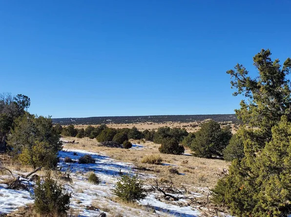 Indian Maiden Ct, Quemado, NM 87829