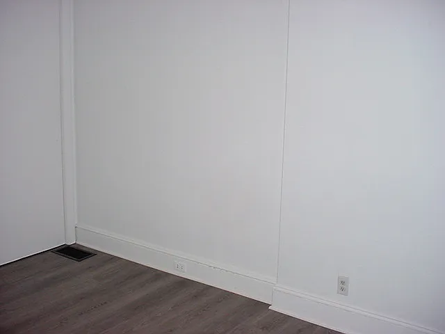 LARGE BEDROOM #1 & WALK IN CLOSET
