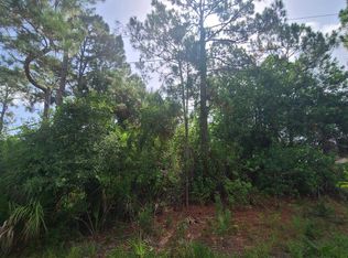 1077 Hammacher Ave SW, Palm Bay, FL 32908