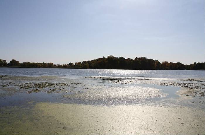 Lake Sarah Lakeshore
