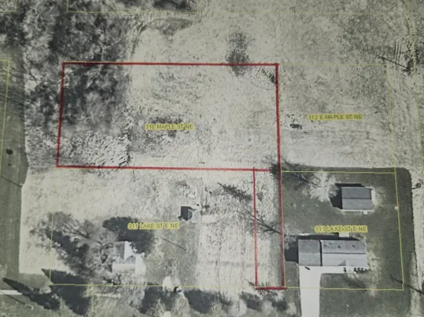 310 E Maple St NE, Sand Lake, MI 49343