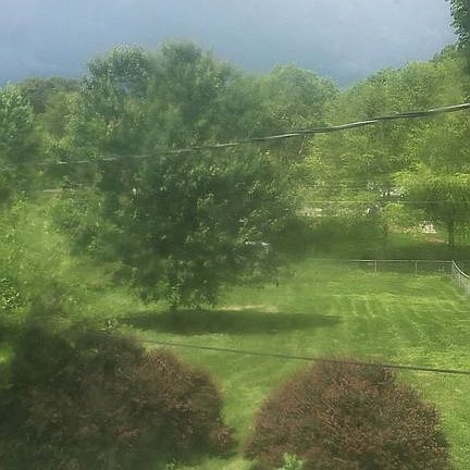 backyard view from dining rm