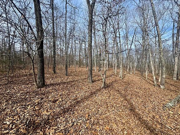 2nd image of 0 Barnes Rd