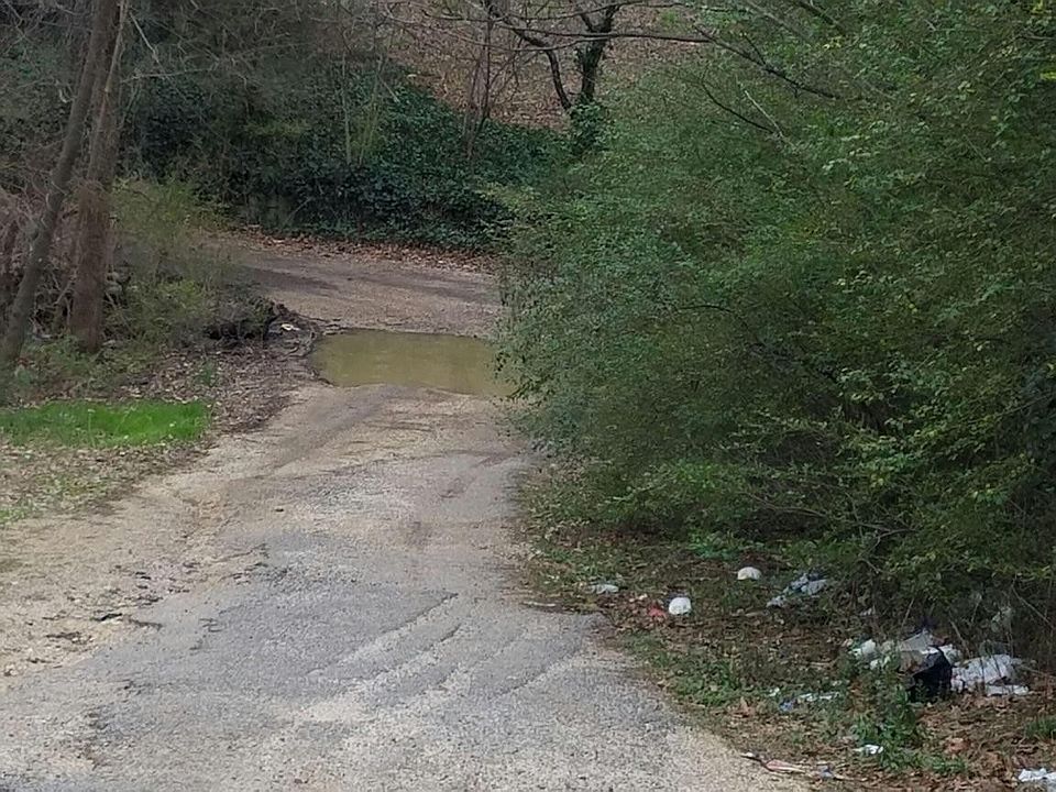 2nd image of 1225 Gadd Rd