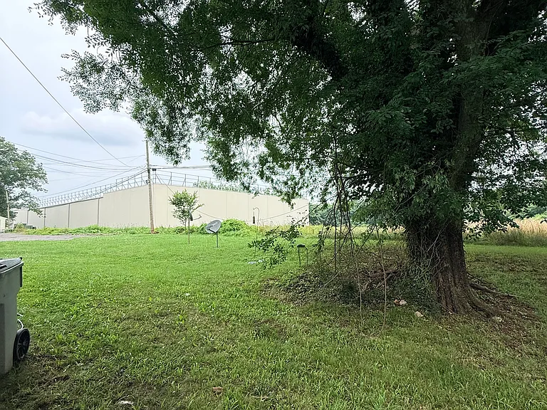 Shared Backyard