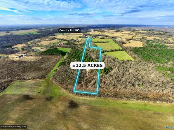 2670 County Road 165, Moulton, AL 35650
