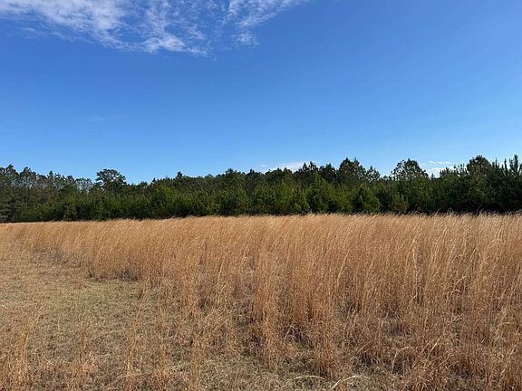 2nd image of 5302 Possum Corner Rd