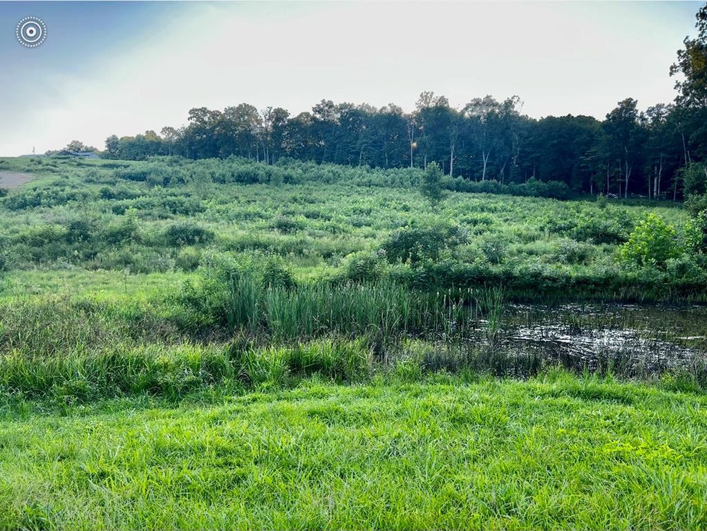 Real estate listing image