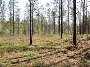 0 Watson Rd E TRACT 11, Forsyth, GA 31029