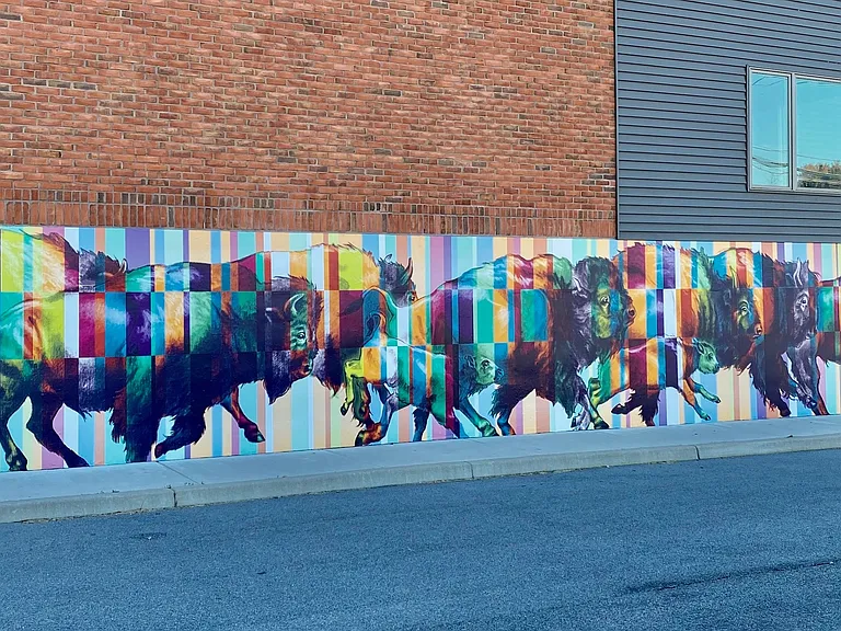 Buffalo Mural
