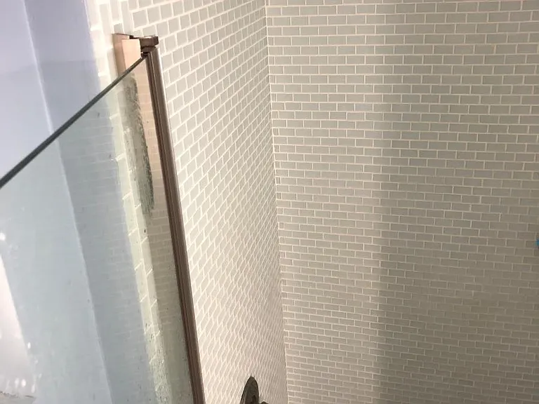 Master Bathroom Shower