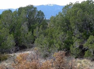 Par 41 Canyon Rim Dr, Rye, CO 81069