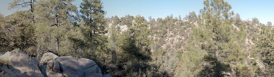 1st image of 543 Lodge Trail Cir
