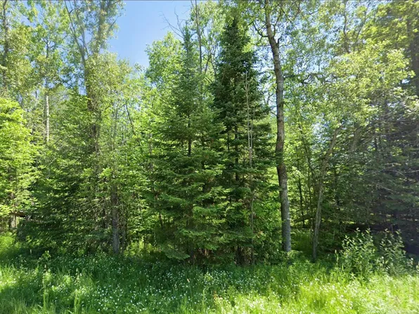 0 Sawyer Ln, Rose City, MI 48654