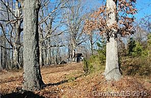 2nd image of Carlyle Rd