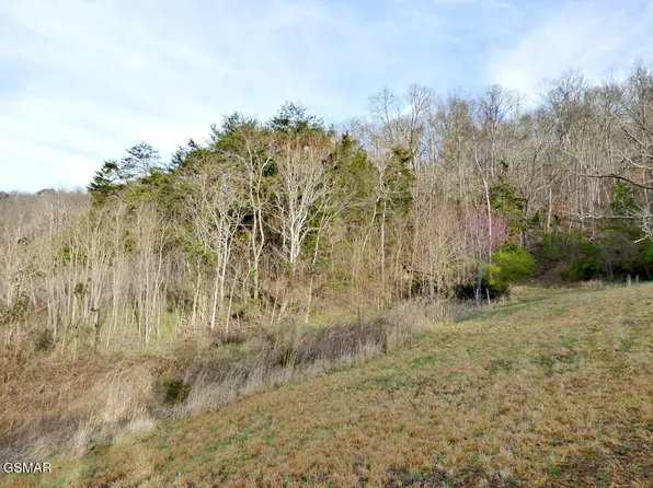 1 Mutton Hollow Rd, New Market, TN 37820