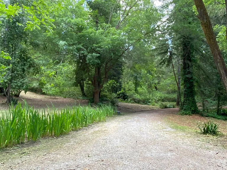 Long driveway