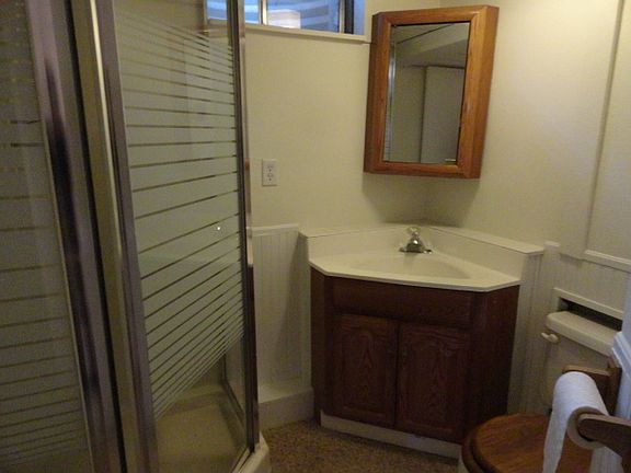 Basement Bathroom