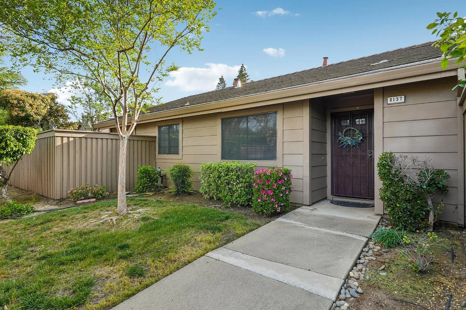8137 Rose Vine Ln photo 1
