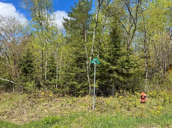 22 Maple Dr Lot 22, Phelps, WI 54554
