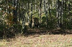2nd image of 60 Gruetli