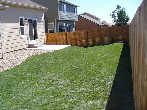 BACKYARD W/ AUTOMATIC SPKLR & SOD