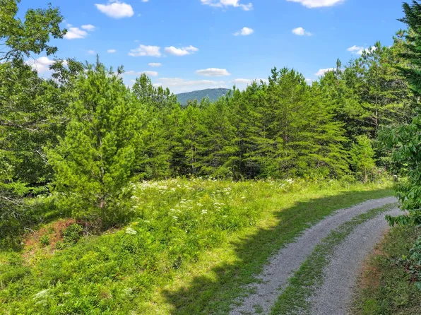 LOT 2 N View Dr, Mineral Bluff, GA 30559
