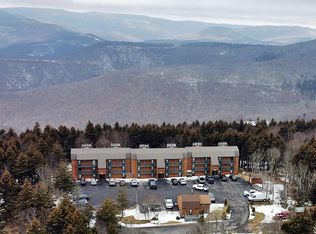 56 Ridgewood St, Snowshoe, WV 26209