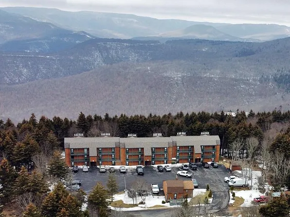 59 Ridgewood St, Snowshoe, WV 26209