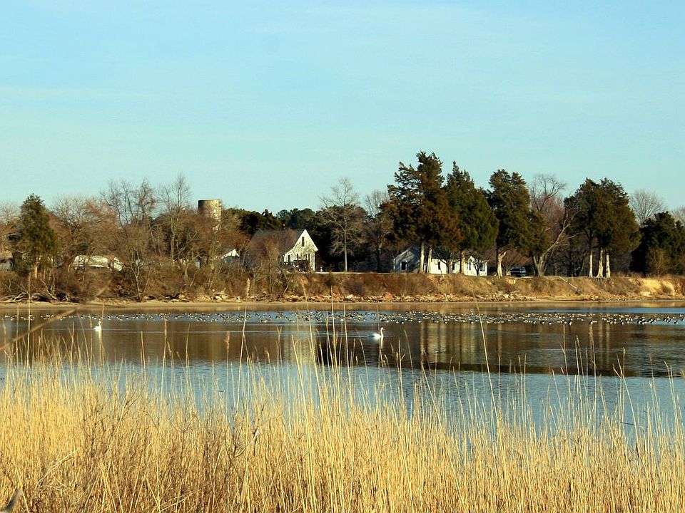 The mouth of the creek
